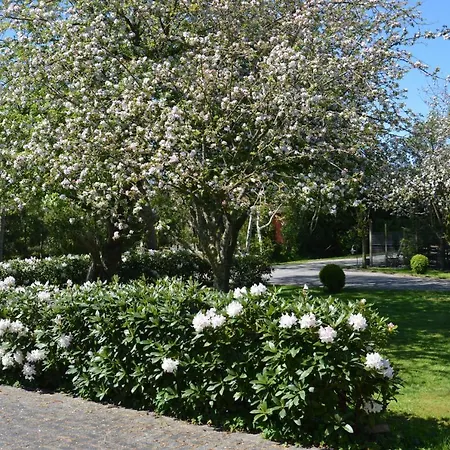 Apartament Luttje Fehn Uplengen