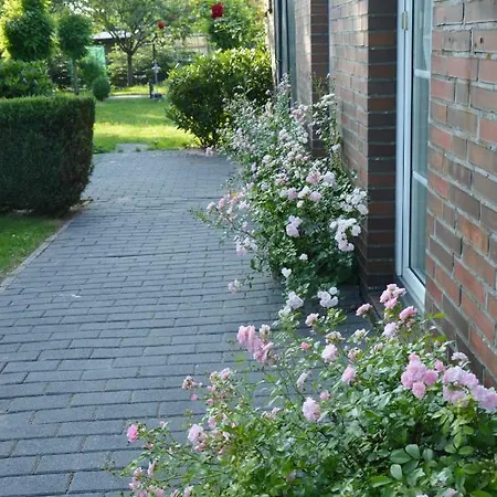Luttje Fehn